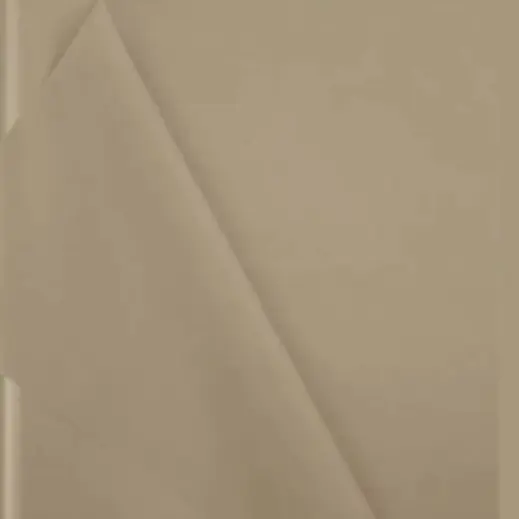 Plain Tissue Paper - 24 Sheets Taupe